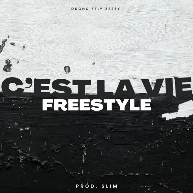 c'est la vie freestyle