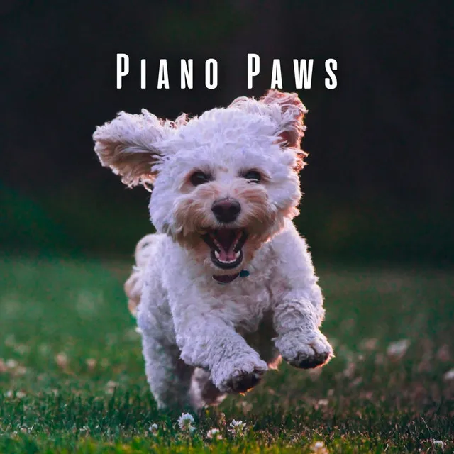 Piano Paws: Serene Piano for Harmonious Dogs