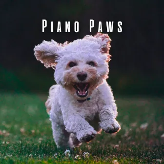 Piano Paws: Serene Piano for Harmonious Dogs by Doggy Music