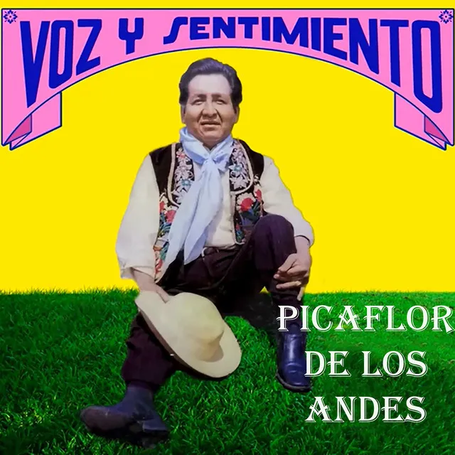 Voz y Sentimiento