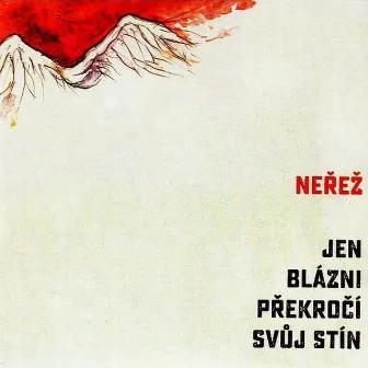 Jen blázni překročí svůj stín by Nerez