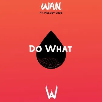 Do What by WAN