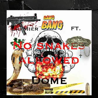 No Snakes Allowed by Lil Mier