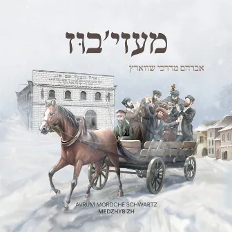 Medzhybizh by Avrum Mordche Schwartz