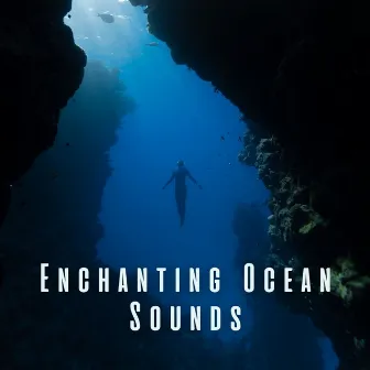 Enchanting Ocean Sounds by Soothing Ocean Sounds