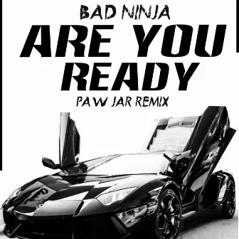 Are You Ready (PAW JAR Remix) by BAD NINJA