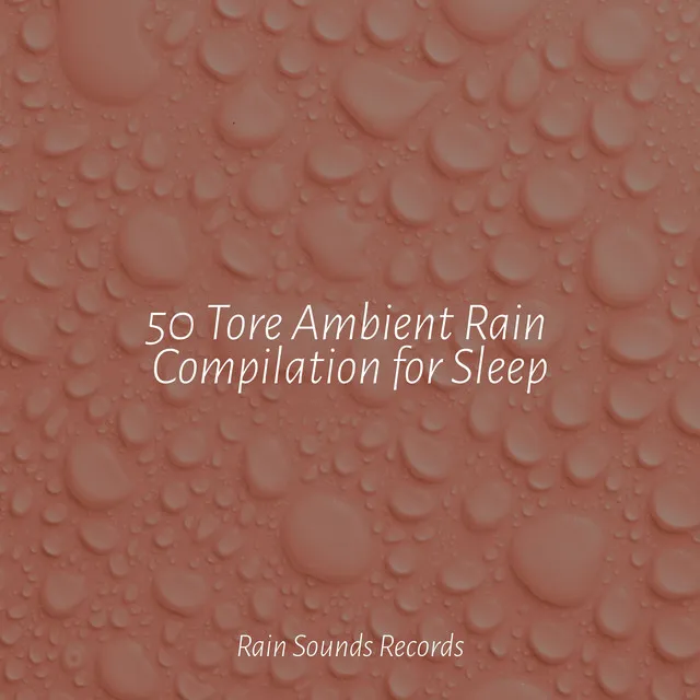 50 Tore Ambient Rain Compilation for Sleep