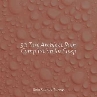 50 Tore Ambient Rain Compilation for Sleep by Relajacion Del Mar