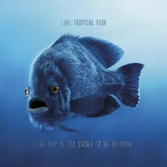 The Day Is Too Short to Be Selfish by Live Tropical Fish