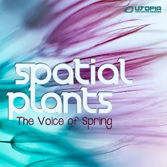 The Voice of Spring by Spatial Plants