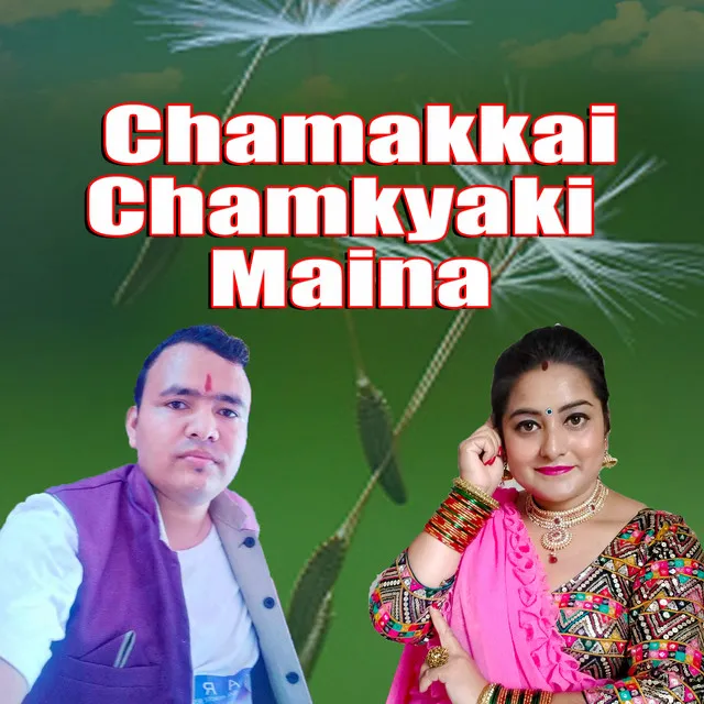 Chamakkai Chamkyaki Maina