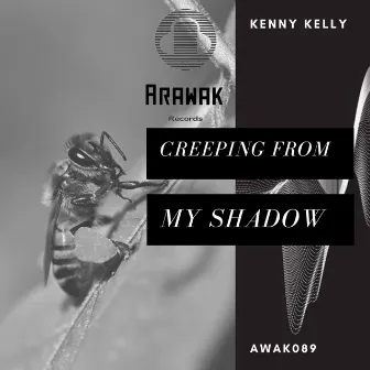 Creeping From My Shadow by Kenny Kelly