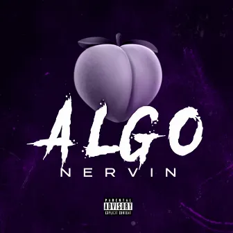 Algo by NERVIN