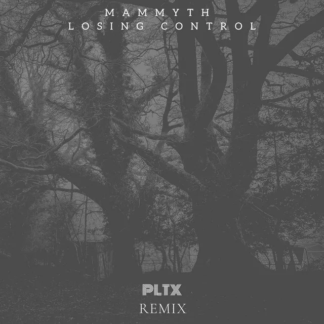 Losing Control - PLTX Remix