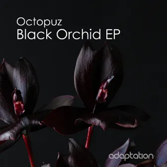 Black Orchid EP by Octopuz