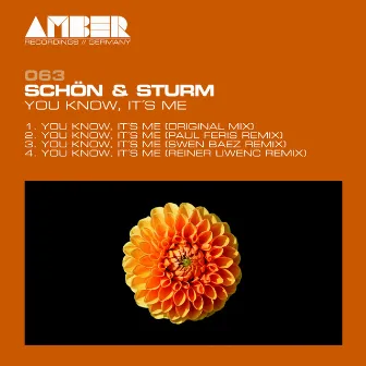 You Know, It´s Me by Schon & Sturm