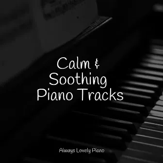 50 Calming Piano Melodies for Work and Study by Gentle Piano Music