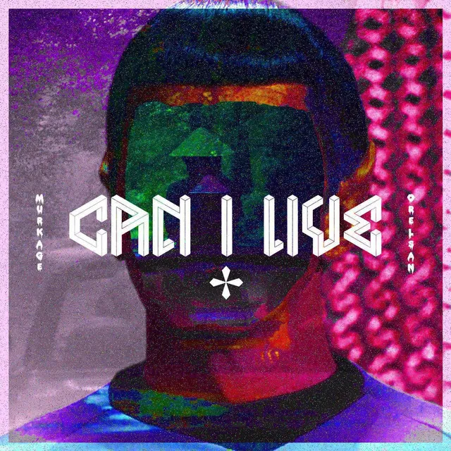 Can I Live - Mike Skinner Remix