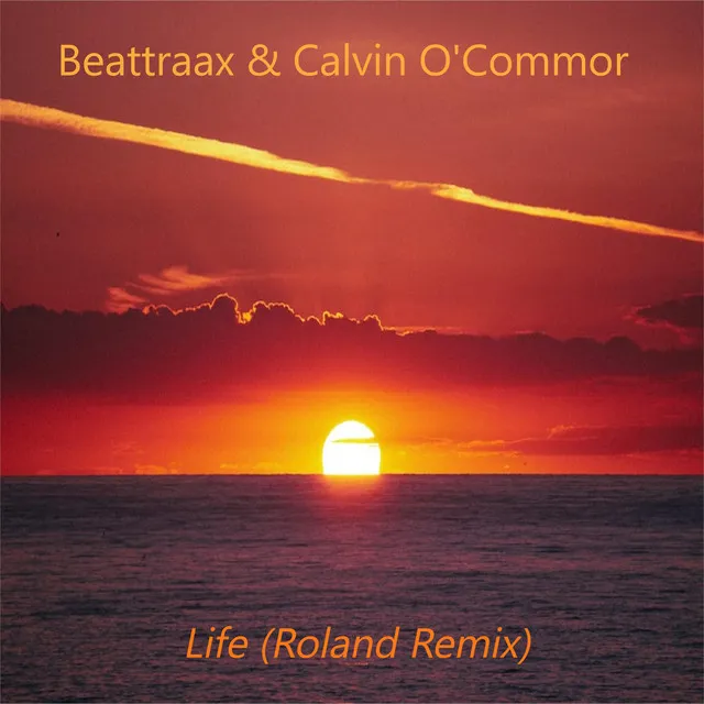 Life (Roland Remix)