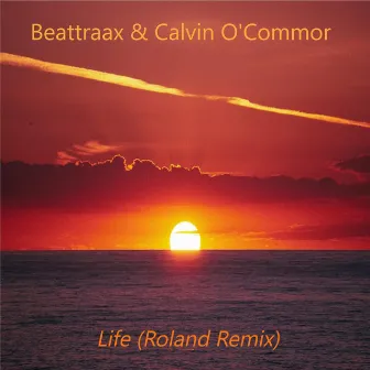 Life (Roland Remix) by Beattraax