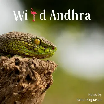 Wild Andhra (Original Motion Picture Soundtrack) by Unknown Artist