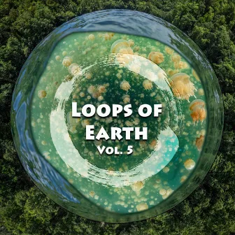 Loops of Earth, Vol. 5 by Zen Loops