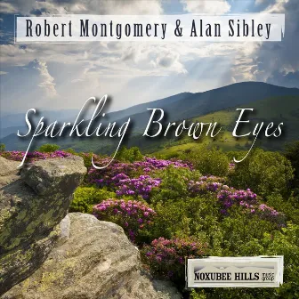 Sparkling Brown Eyes by Alan Sibley