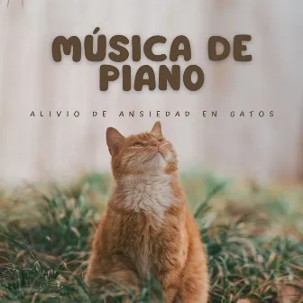 Música De Piano: Alivio De Ansiedad En Gatos by Jukebox de música de gato