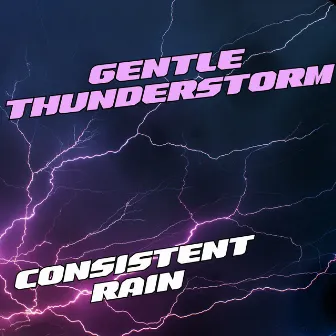 Gentle Thunderstorm: Consistent Rain by Unknown Artist