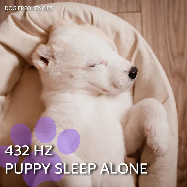 432 Hz Doggy Dreams