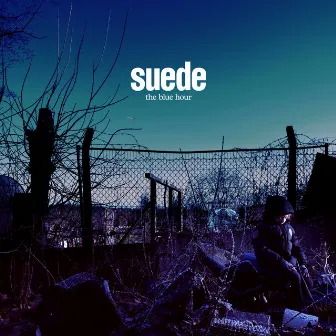 The Blue Hour by Suede