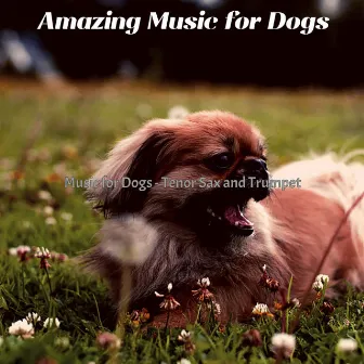 Music for Dogs - Tenor Sax and Trumpet by Amazing Music for Dogs