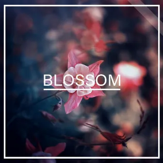 Blossom by Ninety