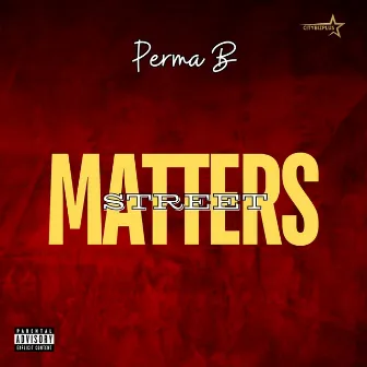 Street Matters by Perma b