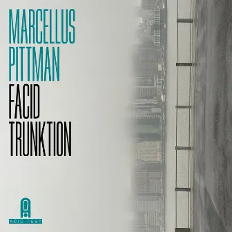 Facid Trunktion by Marcellus Pittman