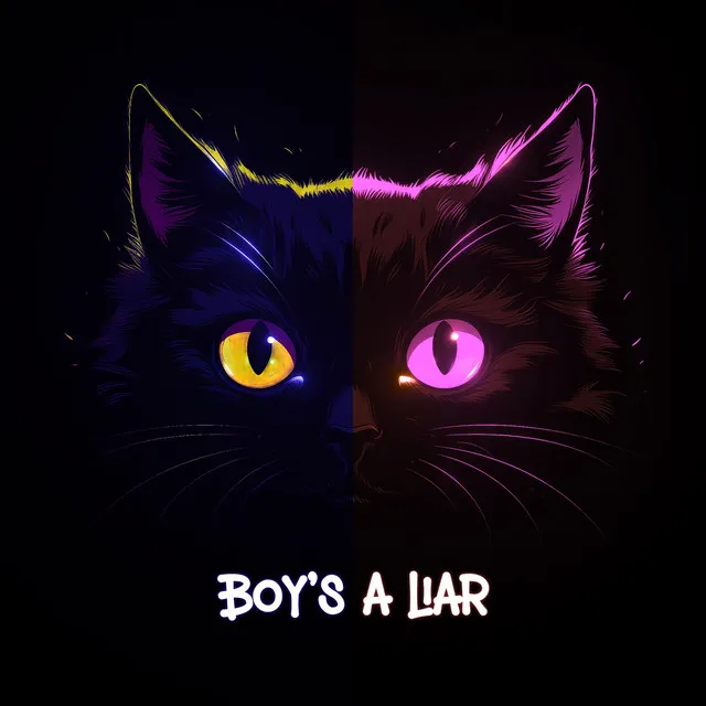 Boy's a Liar - Slowed