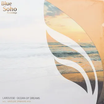 Ocean Of Dreams by Larousse