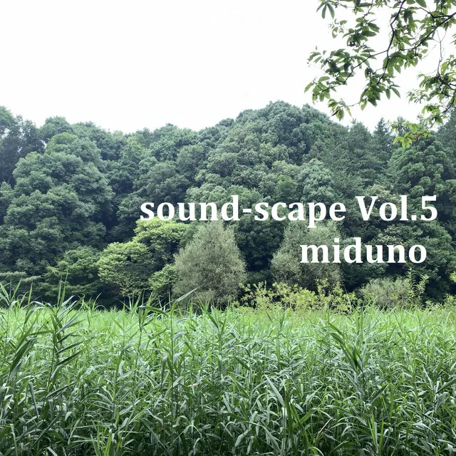 Environmental Sounds - Yokohama / Shikinomori Park, JAPAN - The first strong southerly wind of spring01 & Frogs chirping - HPL