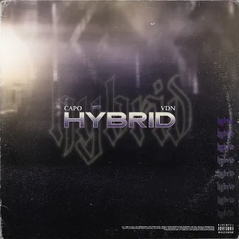 Hybrid by VDN