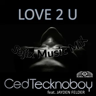 Love 2 U (SejixMusic Mix) by SejixMusic