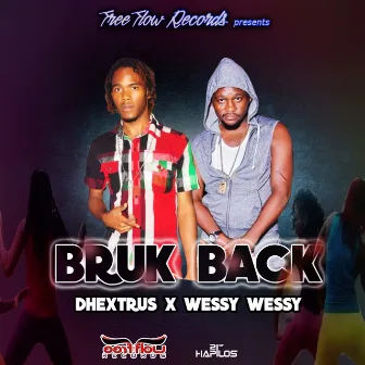 Bruk Back - Single by Unknown Artist