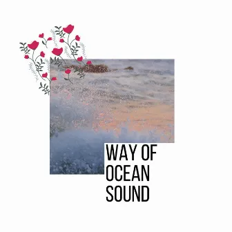 Way Of Ocean Sound by Nature Hours Sound Library