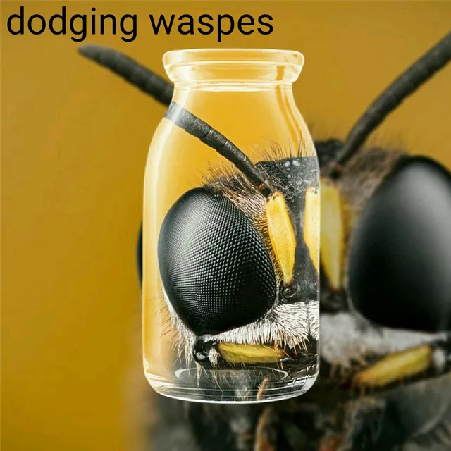 Dodging Waspes