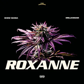 Roxanne by DrillKidMari