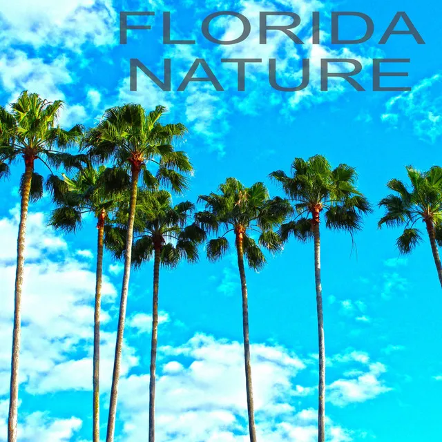 Florida Nature