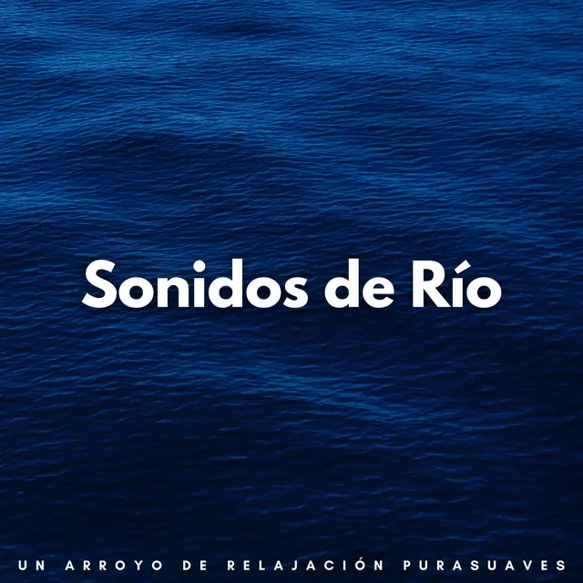 Sonidos De Río: Un Arroyo De Relajación Pura