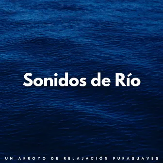 Sonidos De Río: Un Arroyo De Relajación Pura by Sonidos de la Naturaleza Relajantes