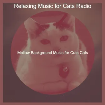 Mellow Background Music for Cute Cats by Relaxing Music for Cats Radio