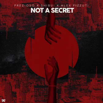 Not A Secret by 