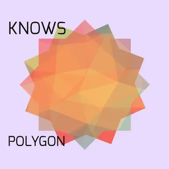 Polygon by Knows